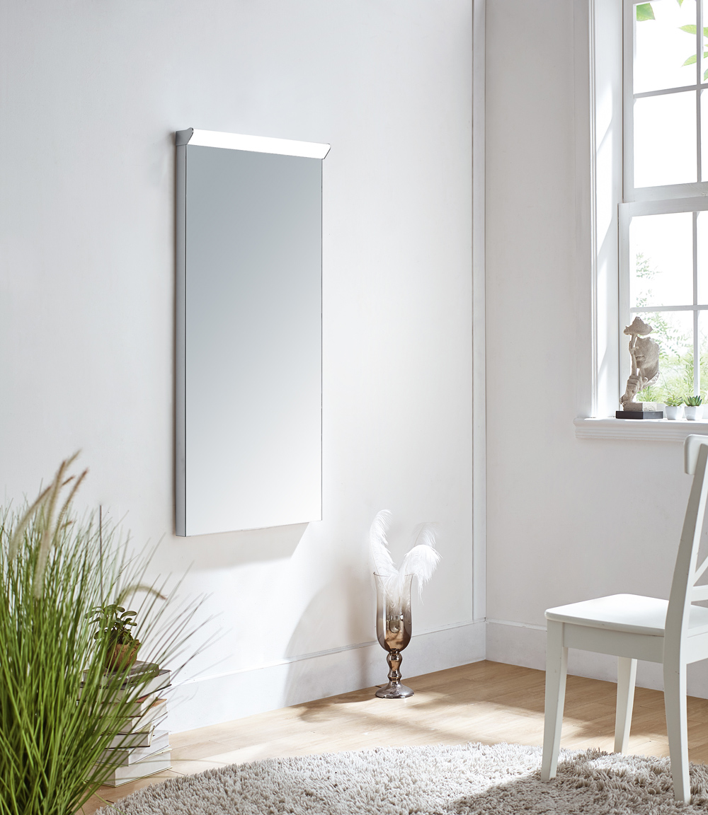 Mounted Full Length Mirror